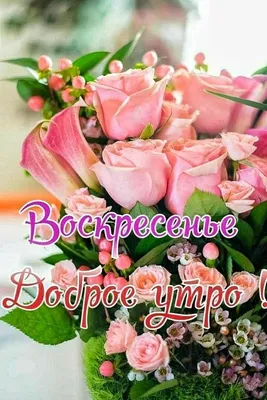 ВОСКРЕСЕНЬЕ! 💖🌸🦋💐🌺🌿🦋🌸 ПРЕКРАСНОГО ДНЯ! 💖 | Guten morgen, Schönes  wochenende, Wochentage