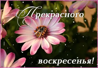 ПРЕКРАСНОГО ВОСКРЕСЕНЬЯ - Чаровница и проказница | Facebook