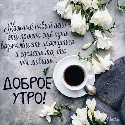 С добрым утром! С новым днём!#доброеутро #хорошегодня #чудесногонастро... |  TikTok