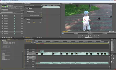 Плагин REVisionFX ReelSmart Motion Blur для Premiere Pro