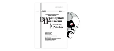 Мастиет Форте - Купить с Доставкой по Москве