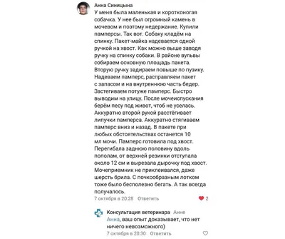 Пенис у животных | это... Что такое Пенис у животных?