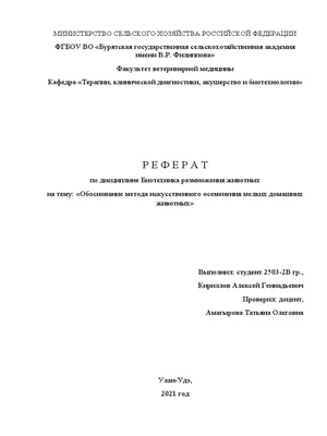 Уход за половыми органами - gruming-zp.jimdo.com