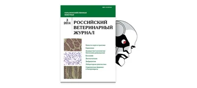 Plemennoe Razvedenie Sobak | PDF