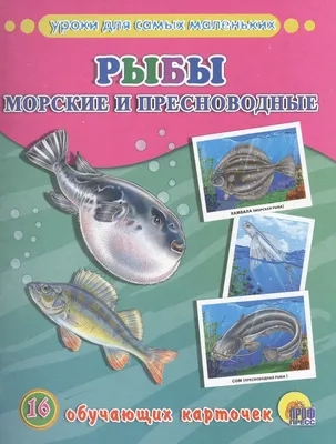 Чем опасна рыба: какие заболевания передаются с речной рыбой - 7 ноября  2021 - 45.ru