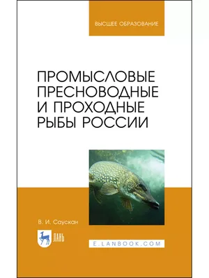 Украина. 2019. Пресноводные рыбы (Малый лист. MNH OG)