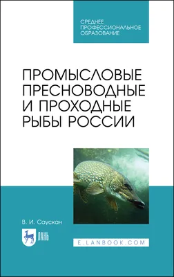 Самые крупные рыбы России: Белуга | Пикабу