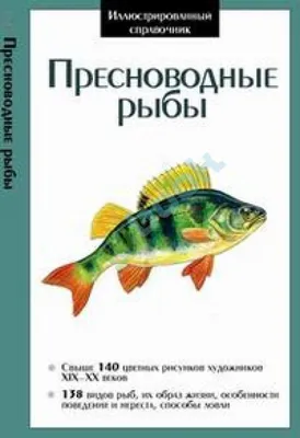 Виды рыб, описание, фото храктеристики и повадки разных видов рыб