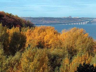 Президентский Мост г Ульяновск | Мост