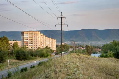 Задельненский бор и кусочек Волжской Жемчужины | С фотокамерой по Самарской  области | Дзен