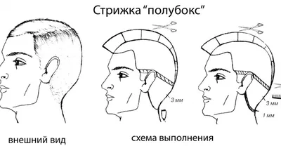 17 МИЛЫХ И ПРОСТЫХ ПРИЧЕСОК В ШКОЛУ ЗА 5 МИНУТ | Удивительное рядом | Дзен