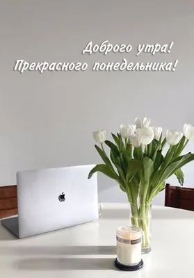 Открытки \"Доброго утра!\" в понедельник (100+)