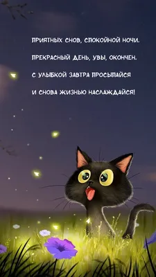 Открытка Настенька Спокойной ночи.