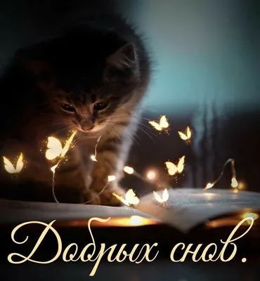 Аниме Спокойной ночи, мир / Good Night World смотреть онлайн