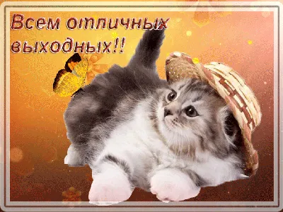 Открытки приятных выходных приятных выходных...