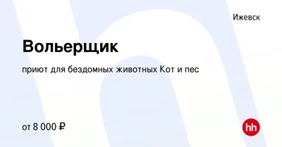 Найдем хозяина» вместе с «Комсомолкой» и ижевским приютом «Кот и пес» -  KP.RU