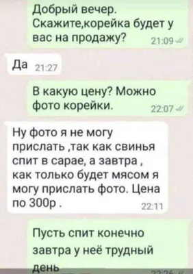 Добрый день, вы ещё продаёте опель астру? Скиньте фотку / приколы вконтакте  (ВКонтакте, ВК) :: буквальная вселенная :: интернет / смешные картинки и  другие приколы: комиксы, гиф анимация, видео, лучший интеллектуальный юмор.