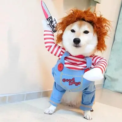 Купить Pet Deadly Doll Костюм для собаки Косплей для собак Забавные костюмы  на Хэллоуин Одежда для собак для собак Кошки Вечернее платье для щенков  Крутой наряд для собаки Страшная жуткая одежда |