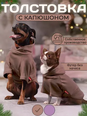 Трезор Одежда для собак мелких и средних пород и кошек