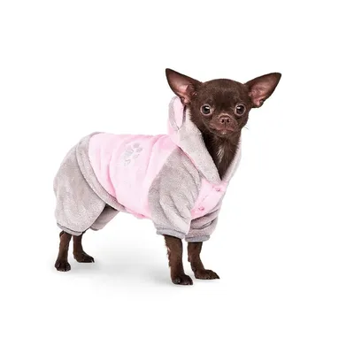 TAOPETS Одежда для собак и кошек