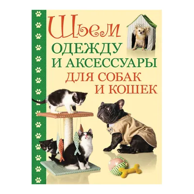 Как подружить кошку и собаку. Советы и прикольные фото | факты о кошках |  Дзен