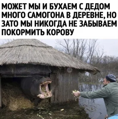 Смешные картинки на майские праздники