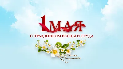 Мемы и картинки 01.05.2019