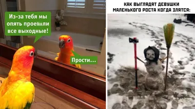 Прикольные картинки с надписями и маленькие девушки