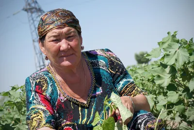 Виноград: польза и вред, советы врачей | РБК Life