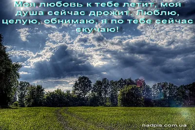 Набор прикольных открыток-валентинок любимому 4 шт Бум Коробка 36879765  купить за 60 500 сум в интернет-магазине Wildberries