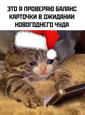 33 Года День Рождения | TikTok