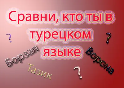 Ходжа Насреддин. Лучшие притчи на турецком языке. Уровень 1 (9844349) -  Купить по цене от 179.00 руб. | Интернет магазин SIMA-LAND.RU