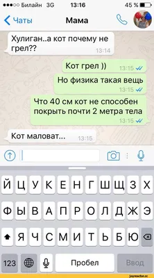 Смешные переписки в WhatsApp, которые поднимут Ваше настроение на весь день  | Из Владивостока с любовью | Дзен