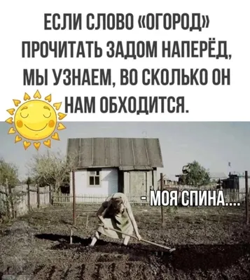 Смешные посадки