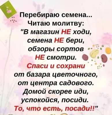 Веселые иллюстрации рисунок огород, …» — создано в Шедевруме