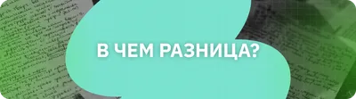 Сдать практический экзамен на водительские права станет проще — Улус Медиа