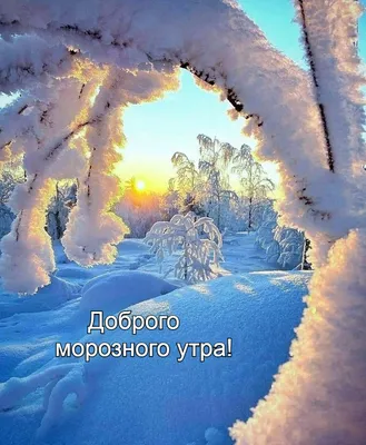 Добрейшего утра! Позитивного дня 😜😊🤗🌞🌞🌞🌈 #доброеутро #настроение  #позитив #gudmorning #мантра #аффирмации #юмор #кофе #завтрак | Instagram