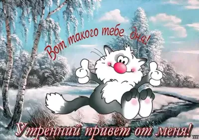 🌬️☃️🐾😾🐾☃️❄️ Зимнее морозное Утро! | Доброе утро, Смешные открытки,  Веселые картинки