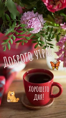 Доброе Утро Кофе И Хорошего Дня | TikTok