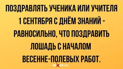 Юмор за день и начало учебного года | Mixnews | Funny pictures, Humor, Funny