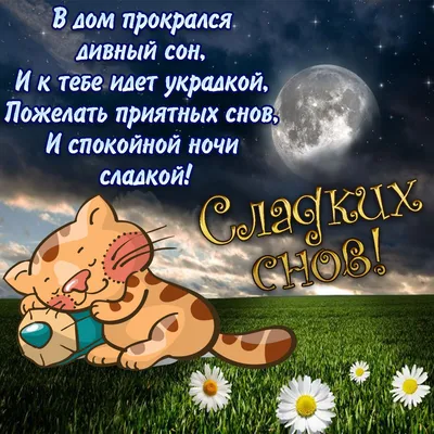 Необычные картинки \"Спокойной ночи!\" (190 шт.)