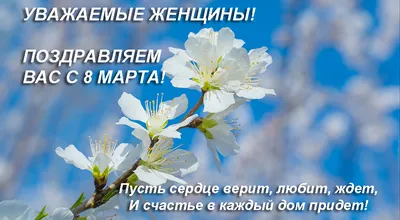 Приколы на 8 марта (40 фото)