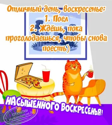 Прикол с добрым утром / смешные картинки и другие приколы: комиксы, гиф  анимация, видео, лучший интеллектуальный юмор.