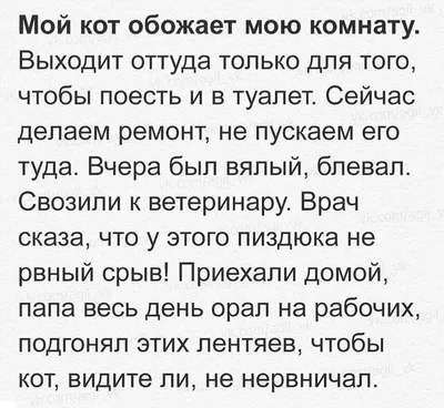 Свежие посты ВК | Пикабу