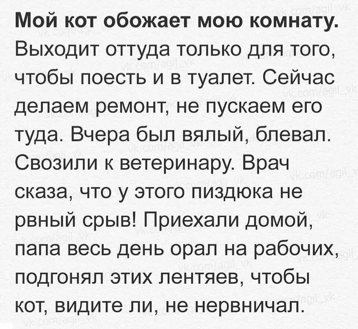 Свежие посты ВК | Пикабу Свежие посты ВК | Пикабу