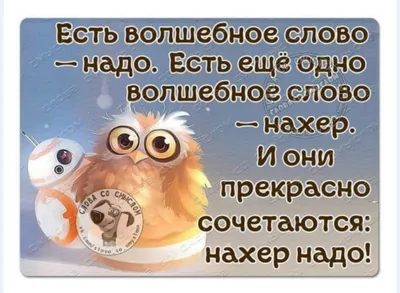 Выживет сильнейший: прикольные картинки и смешные мемы о 1 января – Люкс ФМ