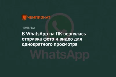 whatsapp переписка / смешные картинки и другие приколы: комиксы, гиф  анимация, видео, лучший интеллектуальный юмор.