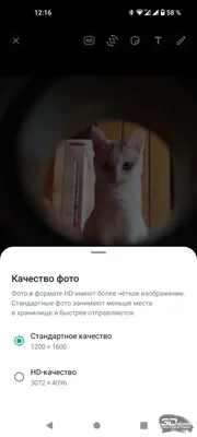 В WhatsApp на ПК вернулась отправка фото и видео для однократного просмотра  - Чемпионат