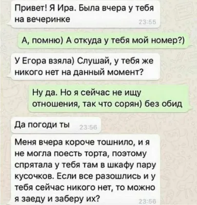 А лучше бы, Ира, пила». Быстров ответил Родниной, опубликовав мем с ней,  пивом и собаками - Чемпионат