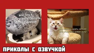 журнальный столик :: дизайн :: Мебель :: столик :: фото / смешные картинки  и другие приколы: комиксы, гиф анимация, видео, лучший интеллектуальный  юмор.